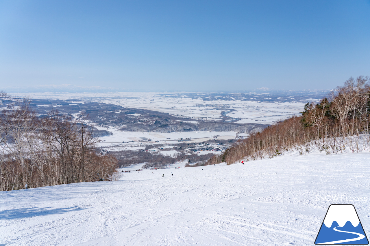 カムイスキーリンクス｜遂にやってきたポカポカ陽気！春雪コンディションのゲレンデに華麗なシュプールを描きましょう(^^)/